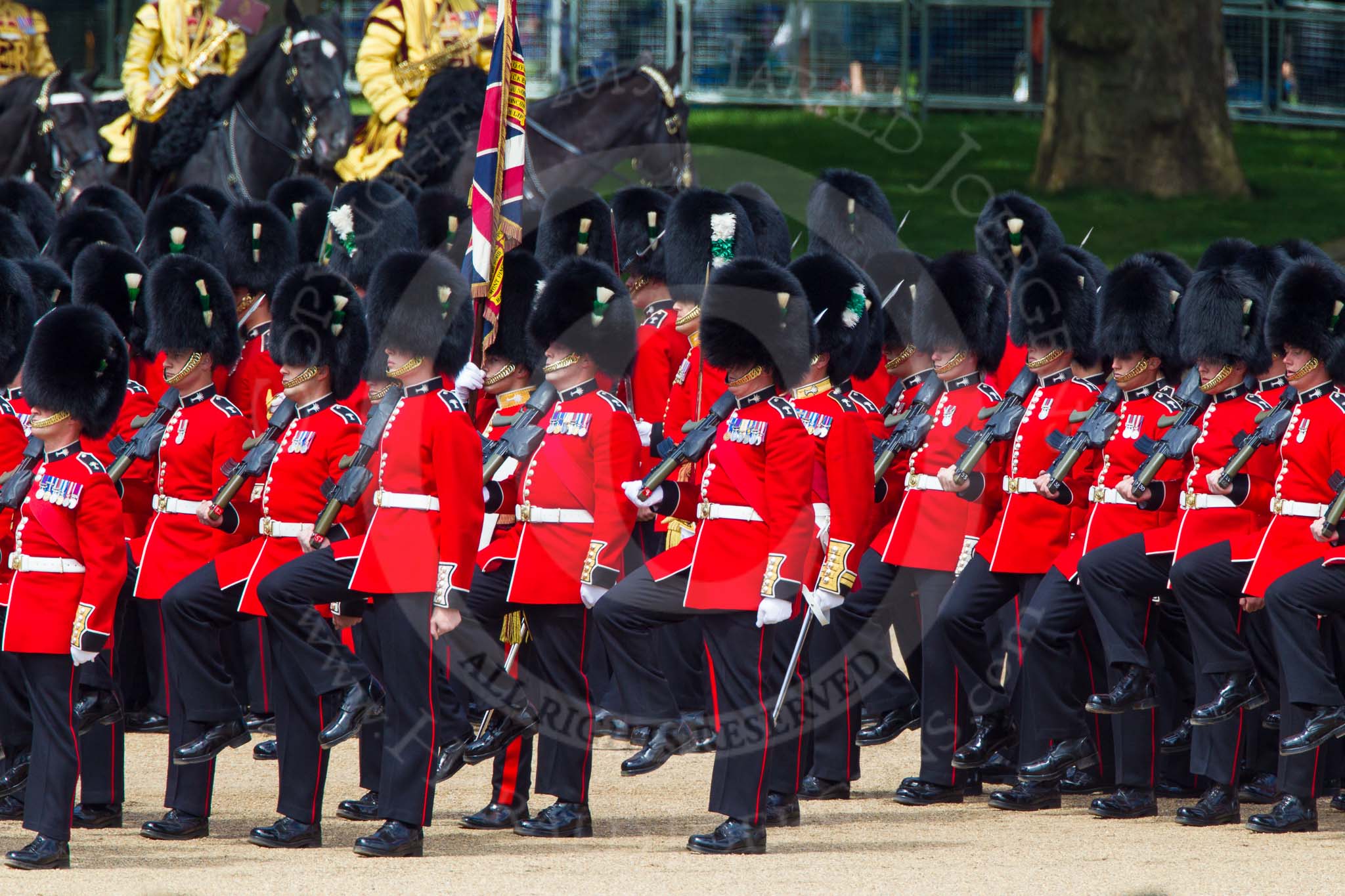 The Colonel's Review 2013: No. 1 Guard (Escort for the Colour),1st Battalion Welsh Guards, at the beginning of the March Past in Quick Time. Behind them the Mounted Bands of the Household Cavalry..
Horse Guards Parade, Westminster,
London SW1,

United Kingdom,
on 08 June 2013 at 11:39, image #672