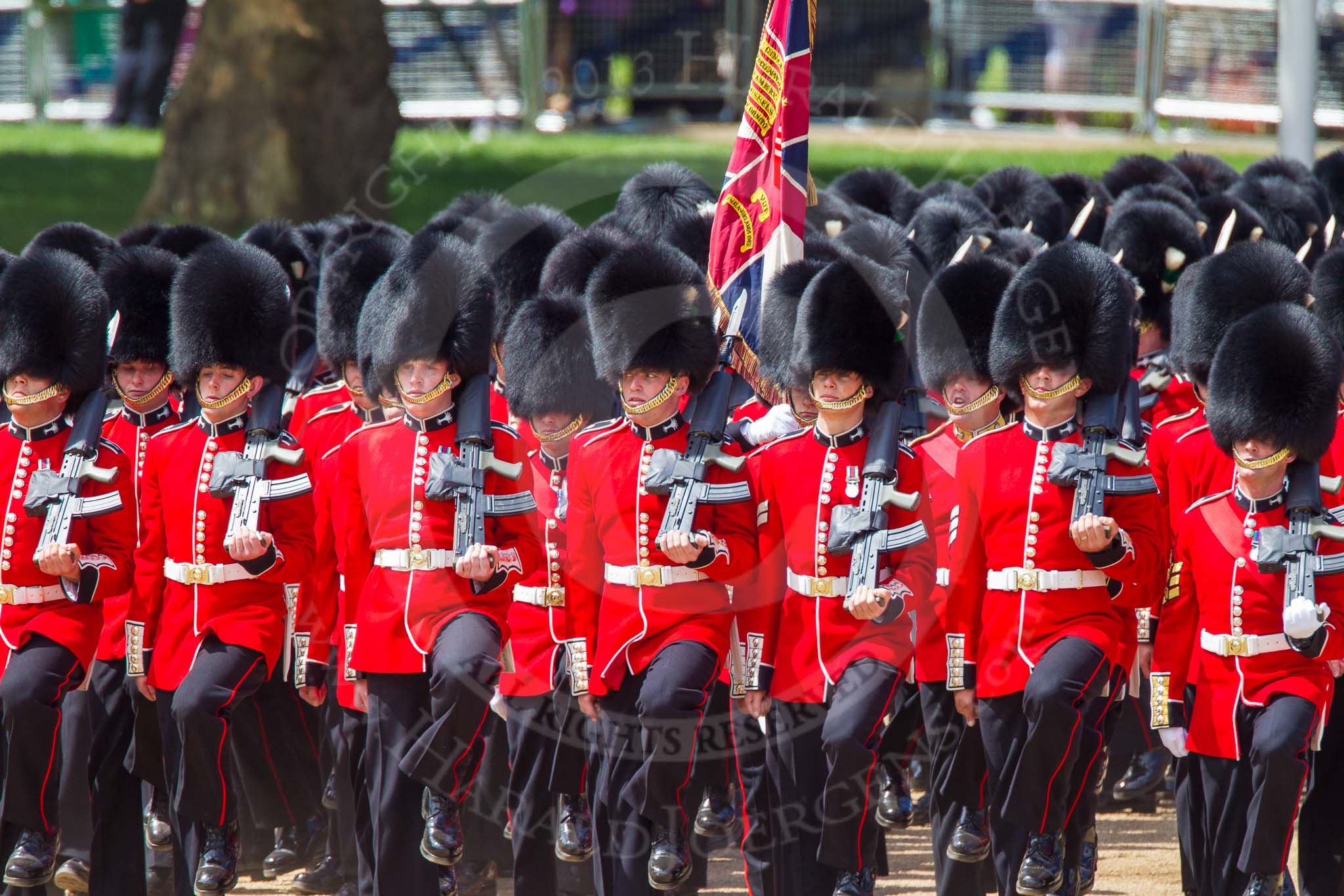 The Colonel's Review 2013: The March Past in Quick Time - the guards perform another ninety-degree-turn..
Horse Guards Parade, Westminster,
London SW1,

United Kingdom,
on 08 June 2013 at 11:41, image #681