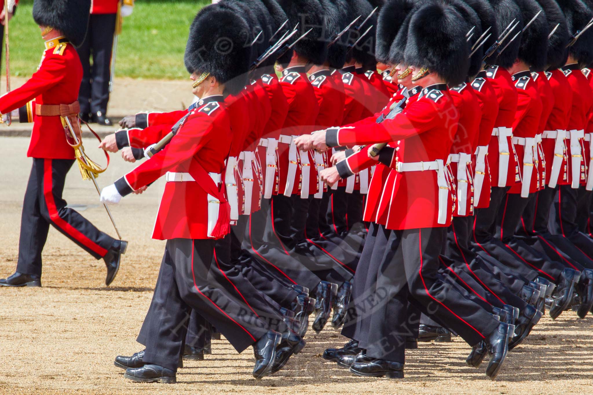 The Colonel's Review 2013: The March Past in Quick Time..
Horse Guards Parade, Westminster,
London SW1,

United Kingdom,
on 08 June 2013 at 11:42, image #683