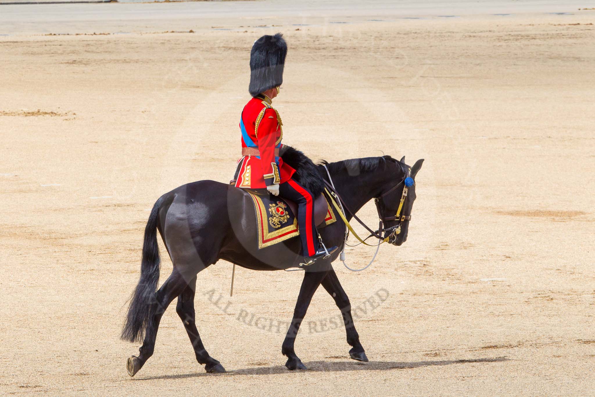 The Colonel's Review 2013.
Horse Guards Parade, Westminster,
London SW1,

United Kingdom,
on 08 June 2013 at 12:09, image #843