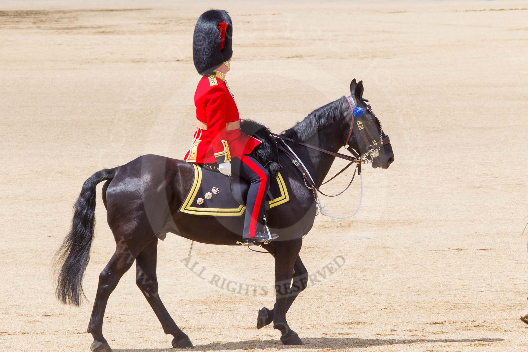 The Colonel's Review 2013.
Horse Guards Parade, Westminster,
London SW1,

United Kingdom,
on 08 June 2013 at 12:09, image #847