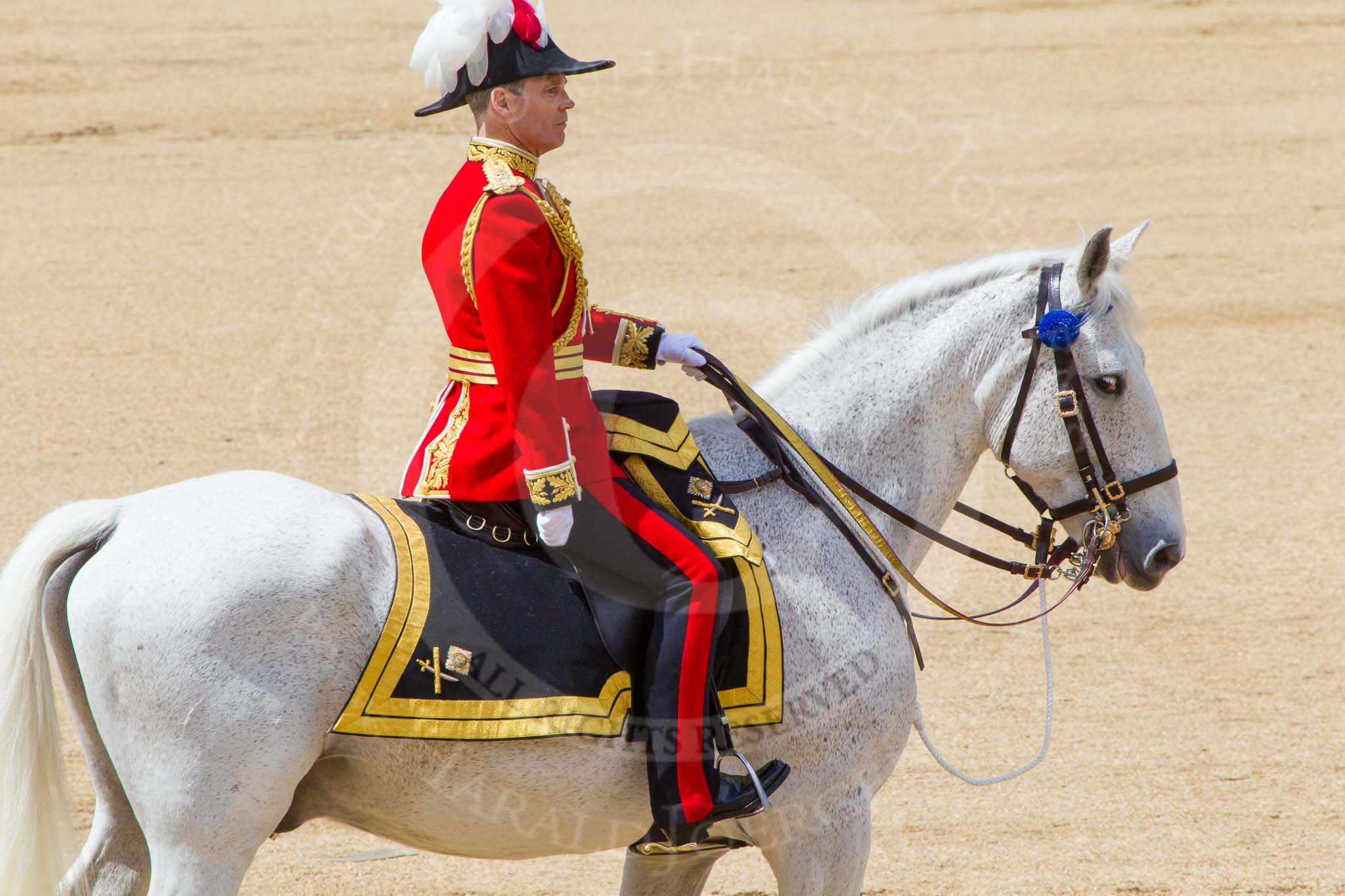 The Colonel's Review 2013.
Horse Guards Parade, Westminster,
London SW1,

United Kingdom,
on 08 June 2013 at 12:09, image #848