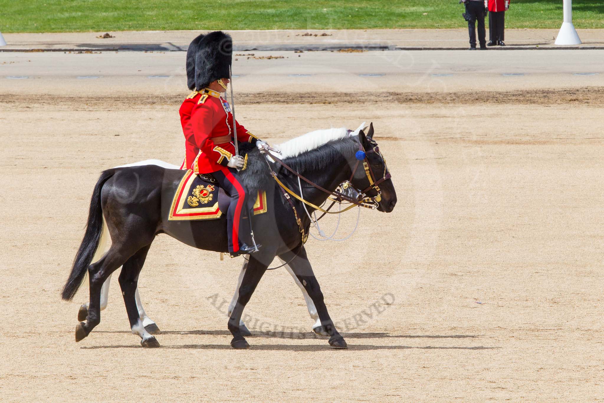 The Colonel's Review 2013.
Horse Guards Parade, Westminster,
London SW1,

United Kingdom,
on 08 June 2013 at 12:10, image #859