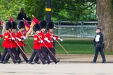 The Colonel's Review 2013: The 'Keepers of the Ground', guardsmen bearing marker flags for their respective regiments, marching on Horse Guards Road along St James's Park..
Horse Guards Parade, Westminster,
London SW1,

United Kingdom,
on 08 June 2013 at 09:52, image #18