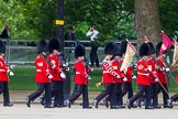 The Colonel's Review 2013: The 'Keepers of the Ground', guardsmen bearing marker flags for their respective regiments, marching on Horse Guards Road along St James's Park..
Horse Guards Parade, Westminster,
London SW1,

United Kingdom,
on 08 June 2013 at 09:52, image #19