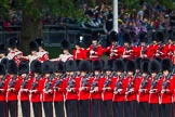 The Colonel's Review 2013: No. 5 Guard, F Company Scots Guards is in position as No. 4 Guard, Nijmegen Company Grenadier Guards, arrives behind the Band of the Grenadier Guards..
Horse Guards Parade, Westminster,
London SW1,

United Kingdom,
on 08 June 2013 at 10:26, image #101