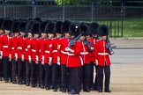 The Colonel's Review 2013: No. 3 Guard, 1st Battalion Welsh Guards, getting into position on Horse Guards Parade..
Horse Guards Parade, Westminster,
London SW1,

United Kingdom,
on 08 June 2013 at 10:28, image #106