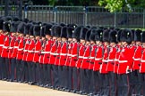 The Colonel's Review 2013: No.3 Gaurd 1st Batalion Welsh Guards..
Horse Guards Parade, Westminster,
London SW1,

United Kingdom,
on 08 June 2013 at 10:30, image #115