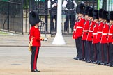 The Colonel's Review 2013: Lieutenant ???, No. 3 Guard, 1st Battalion Welsh Guards..
Horse Guards Parade, Westminster,
London SW1,

United Kingdom,
on 08 June 2013 at 10:30, image #116
