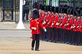 The Colonel's Review 2013: Lieutenant ???, No. 3 Guard, 1st Battalion Welsh Guards..
Horse Guards Parade, Westminster,
London SW1,

United Kingdom,
on 08 June 2013 at 10:30, image #119