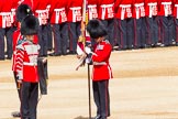 The Colonel's Review 2013: The Colour has been uncased. A detailed photographic record of the uncasing can be found in The Major Generals Review and The Colonels Review..
Horse Guards Parade, Westminster,
London SW1,

United Kingdom,
on 08 June 2013 at 10:33, image #151