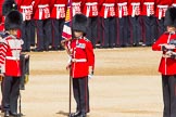 The Colonel's Review 2013: The Colour has been uncased. A detailed photographic record of the uncasing can be found in The Major Generals Review and The Colonels Review..
Horse Guards Parade, Westminster,
London SW1,

United Kingdom,
on 08 June 2013 at 10:33, image #152