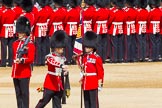 The Colonel's Review 2013: The Colour has been uncased. A detailed photographic record of the uncasing can be found in The Major Generals Review and The Colonels Review..
Horse Guards Parade, Westminster,
London SW1,

United Kingdom,
on 08 June 2013 at 10:33, image #154