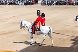 The Colonel's Review 2013: The Adjutant of the Parade, Captain C J P Davies, Welsh Guards..
Horse Guards Parade, Westminster,
London SW1,

United Kingdom,
on 08 June 2013 at 10:35, image #162