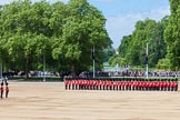 The Colonel's Review 2013: The King's Troop Royal Horse Artillery arrives, and will take position between No. 1 Guard and St. James's Park..
Horse Guards Parade, Westminster,
London SW1,

United Kingdom,
on 08 June 2013 at 10:38, image #179