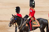 The Colonel's Review 2013: The Major of the Parade, Major H G C Bettinson, Welsh Guards..
Horse Guards Parade, Westminster,
London SW1,

United Kingdom,
on 08 June 2013 at 10:37, image #175