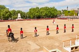 The Colonel's Review 2013: The three officers from each guard, that earlier marched to Horse Guards Arch, are ready to return to their respective guards. On the very left the Major of the Parade..
Horse Guards Parade, Westminster,
London SW1,

United Kingdom,
on 08 June 2013 at 10:37, image #176