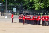 The Colonel's Review 2013: No. 3 Guard, 1st Battalion Welsh Guards, at the gap in the line for members of the Royal Family..
Horse Guards Parade, Westminster,
London SW1,

United Kingdom,
on 08 June 2013 at 10:45, image #212