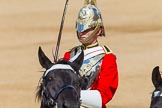 The Colonel's Review 2013: The Trooper of The Life Guards, following the Brigade Major at the head of the Royal Procession..
Horse Guards Parade, Westminster,
London SW1,

United Kingdom,
on 08 June 2013 at 10:57, image #261