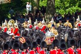 The Colonel's Review 2013: Next in the Royal Procession are the First and Second Division of the Sovereign's Escort, The Life Guards, here riding down Horse Guards Road passing The Mounted Bands of the Household Cavalry..
Horse Guards Parade, Westminster,
London SW1,

United Kingdom,
on 08 June 2013 at 10:58, image #265