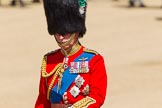 The Colonel's Review 2013: As the Colonel taking the salute, Colonel Welsh Guards, HRH The Prince of Wales..
Horse Guards Parade, Westminster,
London SW1,

United Kingdom,
on 08 June 2013 at 11:00, image #294