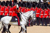 The Colonel's Review 2013.
Horse Guards Parade, Westminster,
London SW1,

United Kingdom,
on 08 June 2013 at 11:03, image #360