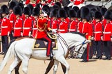 The Colonel's Review 2013: The Crown Equerry Colonel Toby Browne
Equerry in Waiting to Her Majesty, Lieutenant Colonel Alexander Matheson of Matheson, younger, saluting the Colour during the Inspection of the Line..
Horse Guards Parade, Westminster,
London SW1,

United Kingdom,
on 08 June 2013 at 11:04, image #362