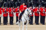 The Colonel's Review 2013: The Field Officer in Brigade Waiting, Lieutenant Colonel Dino Bossi, Welsh Guards,.
Horse Guards Parade, Westminster,
London SW1,

United Kingdom,
on 08 June 2013 at 11:07, image #414