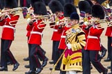 The Colonel's Review 2013: The Massed Band Troop - the countermarch in quick time is Heroes' Return.Senior Drum Major Matthew Betts, Coldstream Guards, leading the Band of the Coldstream Guards..
Horse Guards Parade, Westminster,
London SW1,

United Kingdom,
on 08 June 2013 at 11:10, image #438