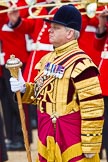 The Colonel's Review 2013: Drum Major Stephen Staite, Grenadier Guards..
Horse Guards Parade, Westminster,
London SW1,

United Kingdom,
on 08 June 2013 at 11:11, image #453