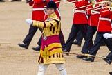 The Colonel's Review 2013: Senior Drum Major M J Betts, Grenadier Guards..
Horse Guards Parade, Westminster,
London SW1,

United Kingdom,
on 08 June 2013 at 11:12, image #460
