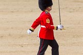 The Colonel's Review 2013: No. 1 Guard the Regimental Sergeant Major, WO1 Martin Topps, Welsh Guards..
Horse Guards Parade, Westminster,
London SW1,

United Kingdom,
on 08 June 2013 at 11:17, image #489