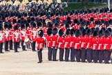 The Colonel's Review 2013: No. 1 Guard the Regimental Sergeant Major, WO1 Martin Topps, Welsh Guards marches around to the fornt of the Escort..
Horse Guards Parade, Westminster,
London SW1,

United Kingdom,
on 08 June 2013 at 11:18, image #497
