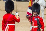 The Colonel's Review 2013: No. 1 Guard the Regimental Sergeant Major, WO1 Martin Topps, Welsh Guards saluting the Colour with his sword..
Horse Guards Parade, Westminster,
London SW1,

United Kingdom,
on 08 June 2013 at 11:19, image #501