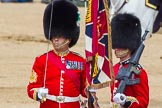 The Colonel's Review 2013: The Colour has been handed over from Colour Sergeant R J Heath, Welsh Guard to the Regimental Sergeant Major, WO1 Martin Topps, Welsh Guards. He now presents the Colour to the Ensign, Ensign, Second Lieutenant Joel Dinwiddle..
Horse Guards Parade, Westminster,
London SW1,

United Kingdom,
on 08 June 2013 at 11:19, image #510
