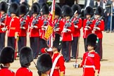 The Colonel's Review 2013: No. 1 Guard, the Escort to the Colour, presents arms as the Ensign turns toward them with the Colour..
Horse Guards Parade, Westminster,
London SW1,

United Kingdom,
on 08 June 2013 at 11:20, image #528