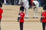 The Colonel's Review 2013: The second (unnamed) sentry, presenting arms whilst the National Anthem is played..
Horse Guards Parade, Westminster,
London SW1,

United Kingdom,
on 08 June 2013 at 11:20, image #531