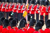 The Colonel's Review 2013: The Ensign, Second Lieutenant Joel Dinwiddle, marches foreward with the Colour, whilst Regimental Sergeant Major, WO1 Martin Topps, Welsh Guards, returns to the Escort to the Colour..
Horse Guards Parade, Westminster,
London SW1,

United Kingdom,
on 08 June 2013 at 11:20, image #534