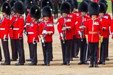 The Colonel's Review 2013: The Escort to the Colour has trooped the Colour past No. 2 Guard, 1st Battalion Welsh Guards, and is now almost back to their initial position, when they were the Escort for the Colour..
Horse Guards Parade, Westminster,
London SW1,

United Kingdom,
on 08 June 2013 at 11:26, image #584