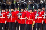 The Colonel's Review 2013: Captain F O Lloyd-George gives the orders for No. 1 Guard (Escort to the Colour),1st Battalion Welsh Guards..
Horse Guards Parade, Westminster,
London SW1,

United Kingdom,
on 08 June 2013 at 11:26, image #586