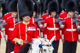 The Colonel's Review 2013: The Field Officer in Brigade Waiting, Lieutenant Colonel Dino Bossi, Welsh Guards gives the command to form divisions..
Horse Guards Parade, Westminster,
London SW1,

United Kingdom,
on 08 June 2013 at 11:27, image #591