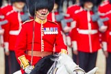 The Colonel's Review 2013: The Field Officer in Brigade Waiting, Lieutenant Colonel Dino Bossi, Welsh Guards gives the command to form divisions..
Horse Guards Parade, Westminster,
London SW1,

United Kingdom,
on 08 June 2013 at 11:27, image #592