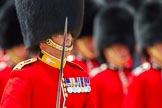 The Colonel's Review 2013: A close-up of the Field Officer in Brigade Waiting, Lieutenant Colonel Dino Bossi, Welsh Guards, with his word drawn, during the March Past..
Horse Guards Parade, Westminster,
London SW1,

United Kingdom,
on 08 June 2013 at 11:32, image #622