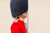 The Colonel's Review 2013: A close-up of the Field Officer in Brigade Waiting, Lieutenant Colonel Dino Bossi, Welsh Guards, with his word drawn, during the March Past..
Horse Guards Parade, Westminster,
London SW1,

United Kingdom,
on 08 June 2013 at 11:33, image #633