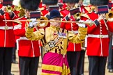 The Colonel's Review 2013: A close-up view of Drum Major Stephen Staite, Grenadier Guards..
Horse Guards Parade, Westminster,
London SW1,

United Kingdom,
on 08 June 2013 at 11:36, image #649
