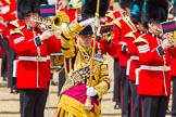 The Colonel's Review 2013: A close-up, profile view of Senior Drum Major M J Betts, Grenadier Guards..
Horse Guards Parade, Westminster,
London SW1,

United Kingdom,
on 08 June 2013 at 11:37, image #653