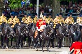 The Colonel's Review 2013: the Mounted Bands of the Household Cavalry..
Horse Guards Parade, Westminster,
London SW1,

United Kingdom,
on 08 June 2013 at 11:39, image #669