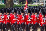 The Colonel's Review 2013: The March Past in Quick Time - the guards perform another ninety-degree-turn..
Horse Guards Parade, Westminster,
London SW1,

United Kingdom,
on 08 June 2013 at 11:41, image #681