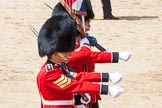The Colonel's Review 2013: The Colour Party, carrying the Colour, during the March Past in Quick Time..
Horse Guards Parade, Westminster,
London SW1,

United Kingdom,
on 08 June 2013 at 11:43, image #692