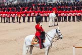 The Colonel's Review 2013: The Field Officer in Brigade Waiting, Lieutenant Colonel Dino Bossi, Welsh Guards, saluting Her Majesty during the March Past in Quick Time..
Horse Guards Parade, Westminster,
London SW1,

United Kingdom,
on 08 June 2013 at 11:45, image #700